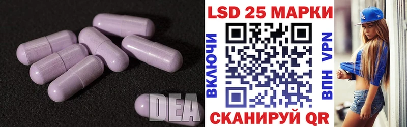 Купить Оса ЛСД экстази кислота