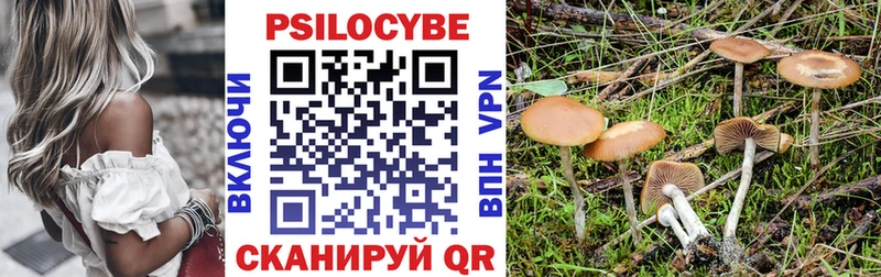 Купить  Оса  Галлюциногенные грибы мицелий 