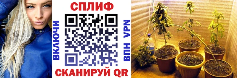 Бошки марихуана OG Kush  Купить закладки  Оса 